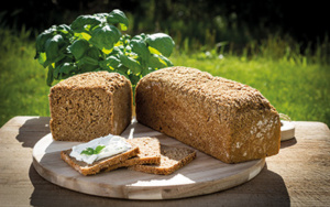 Quinoa-Brot